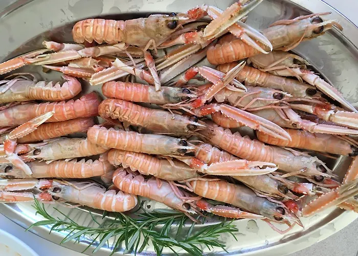 Pineto Resort Hotell Pineto