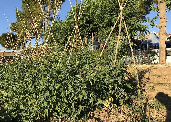 Hotel Pineto Resort 3*